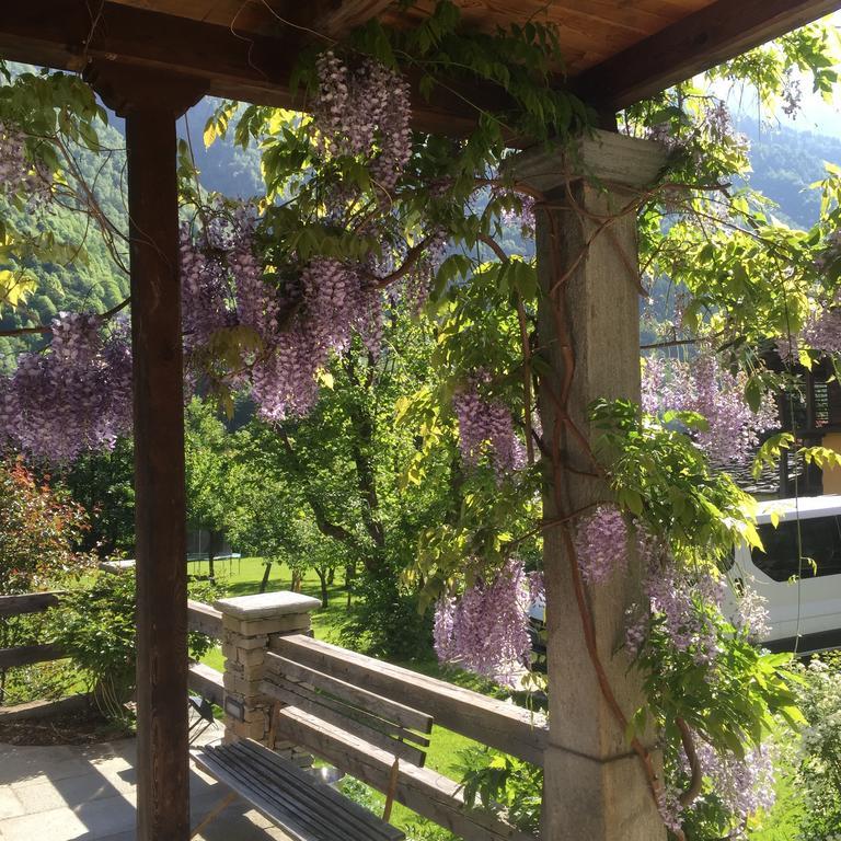 Bed and Breakfast Tre Alberi Liberi à Alagna Valsesia Extérieur photo